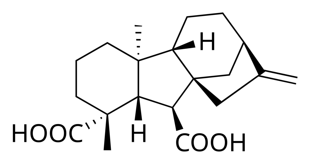 Gibberellin A12.svg