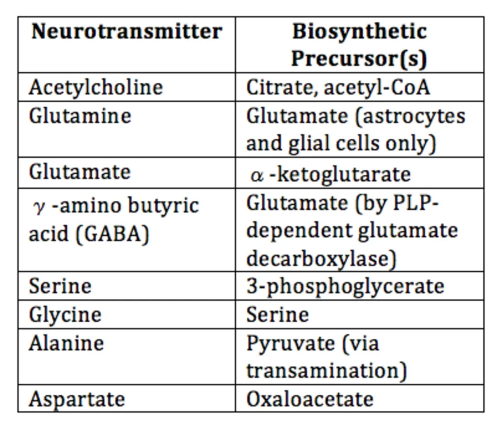 Neural Control and Coordination 4 ImgResizer Neurotransmitters