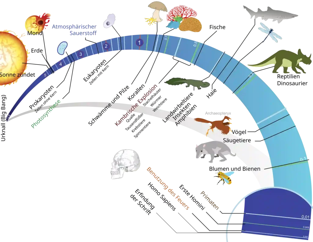 Evolution 1 Timeline evolution of life