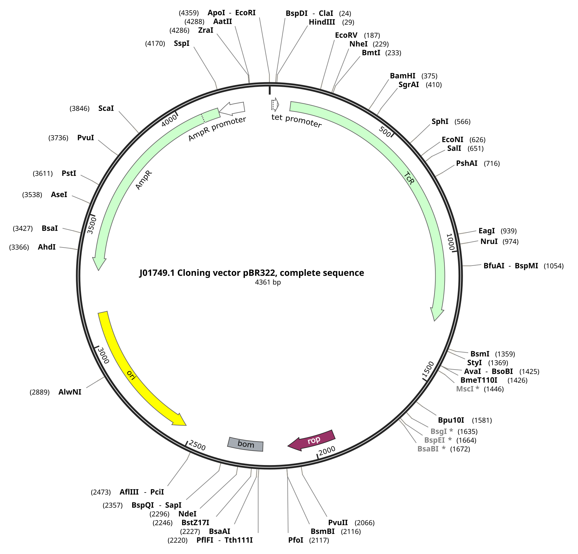 Biotechnology: Principles and Processes 4 PBR322 Map.svg